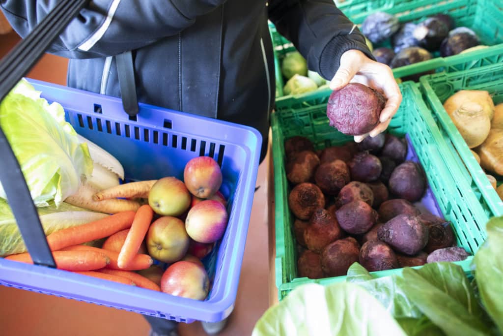 L'agriculture travaille. Commerce à la ferme, vente directe, Jardin de Closy, Laetitia Roset, légumes, approvisionnement.