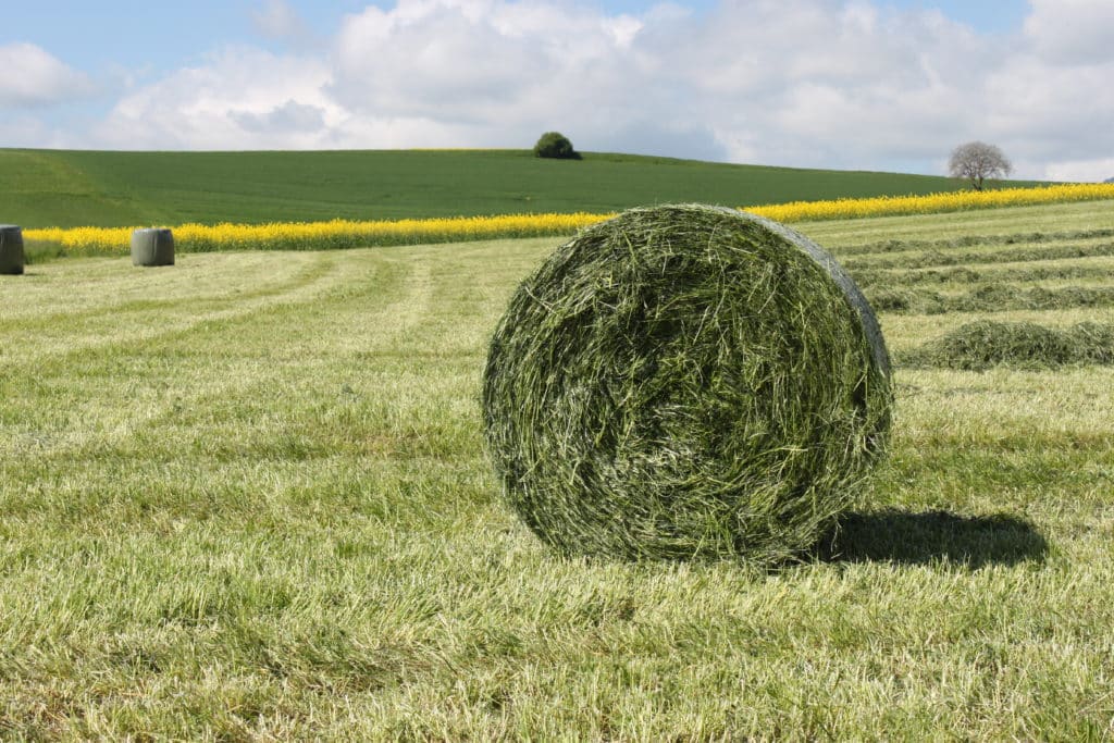 Fourrages - Agriculture Durable