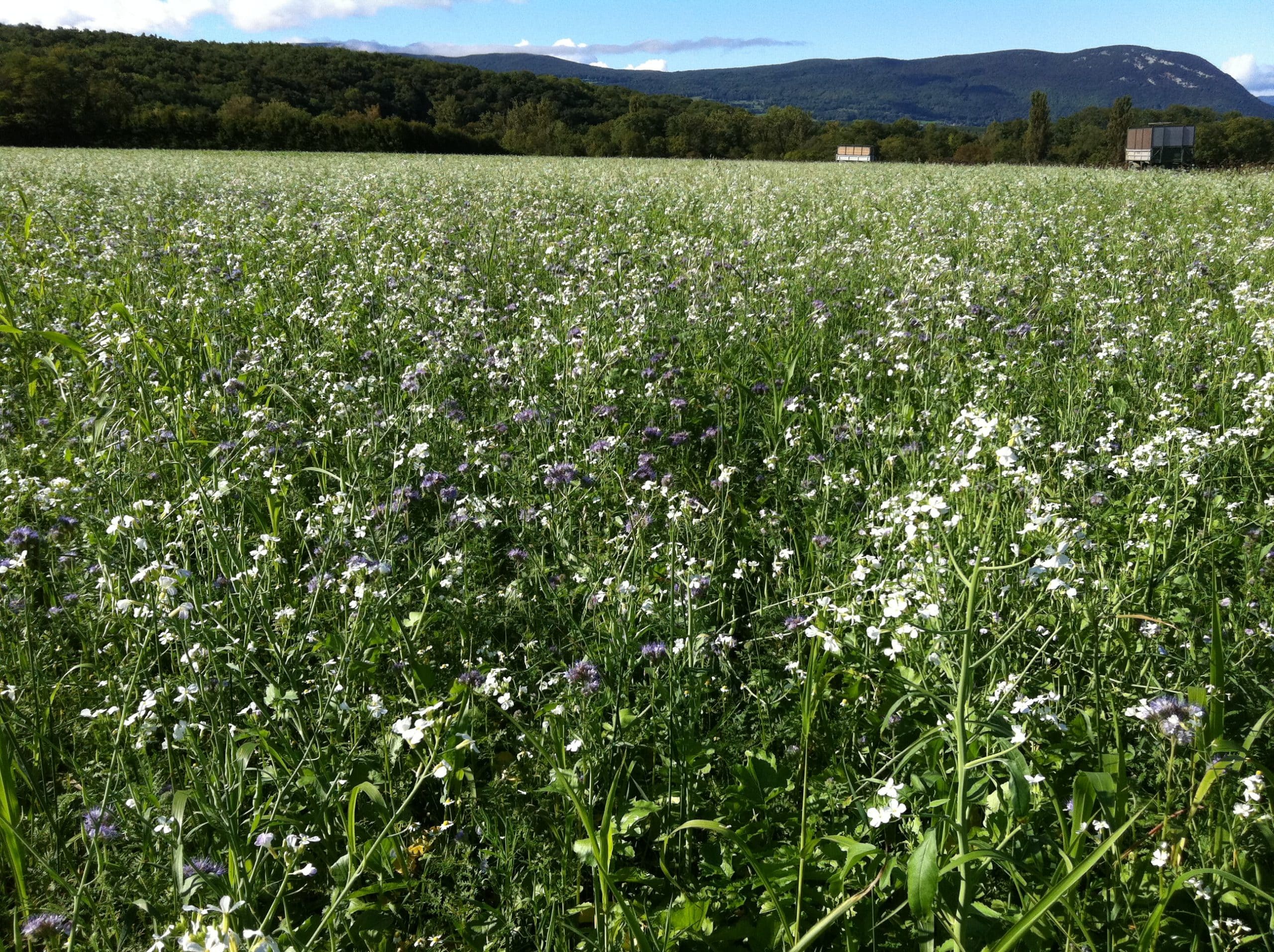 Les sols agricoles, solution pour le climat