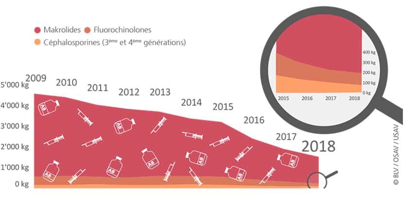 Dans la médecine vétérinaire, la consommation d’antibiotiques est en baisse constante dans les élevages suisses, dans le cadre de la consommation des antibiotiques dits «critiques».