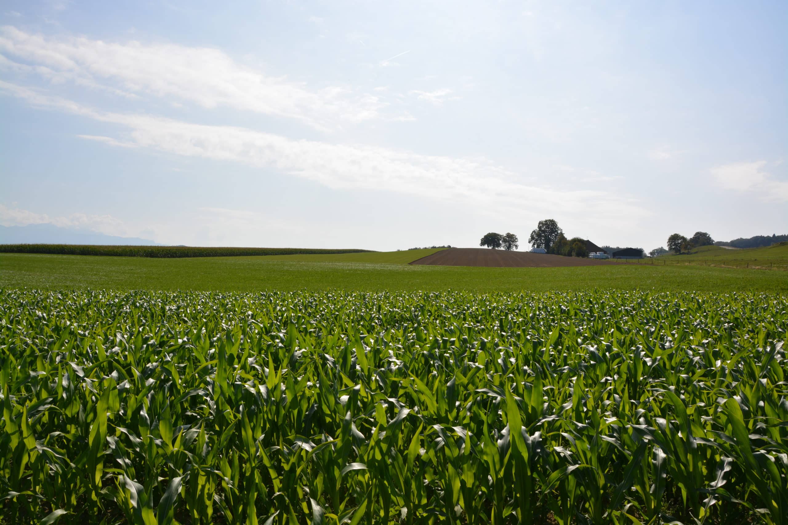 agriculture-durable-exploitation-ferme-scaled Une nouvelle vision de l'agriculture