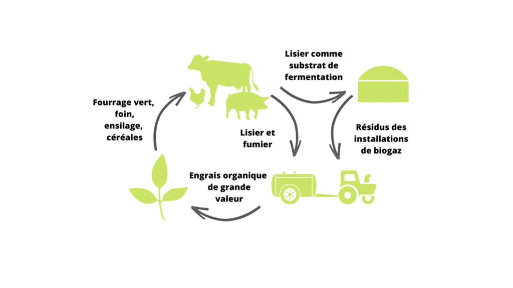 Les exploitations cherchent à atteindre un cycle des nutriments aussi fermé que possible.