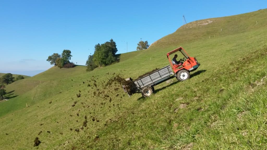 Épandage de fumier sur une prairie en région montagneuse.