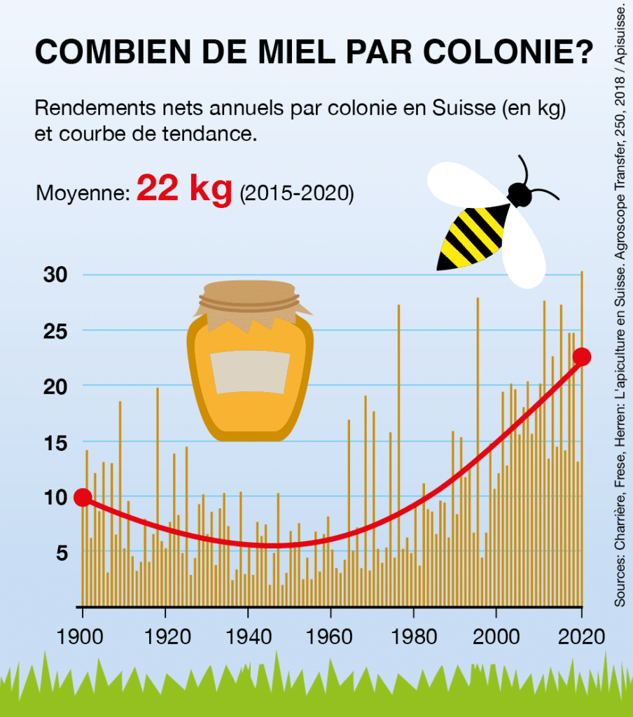 Infographie. Les abeilles, ouvrières agricoles infatigables et menacées