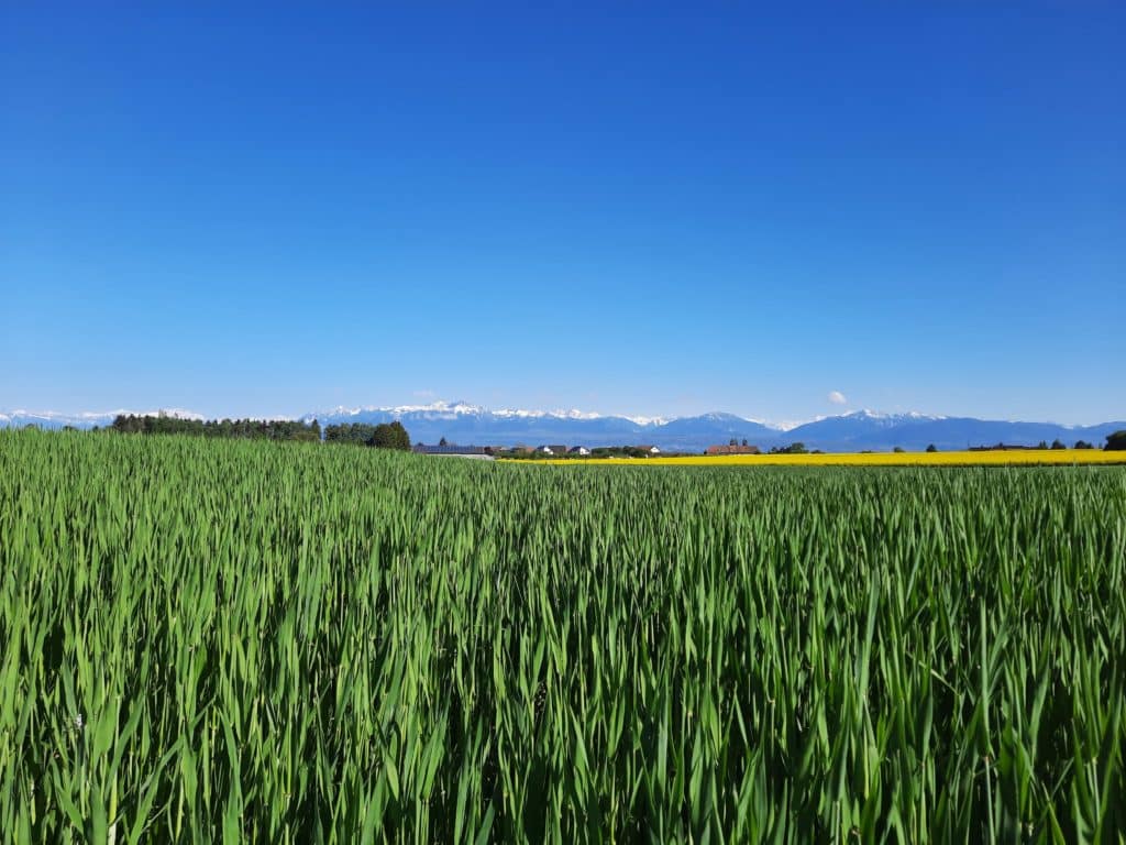 Les paysages du Circuit du paysan