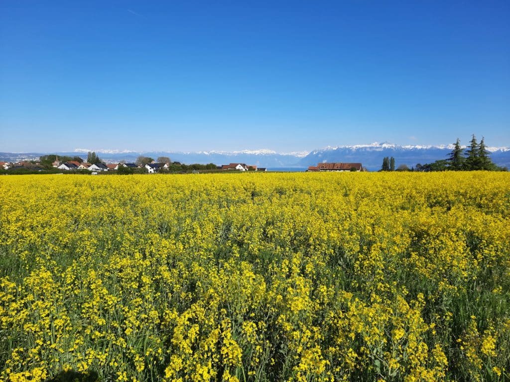 L'agriculture durable présentée sous forme de sentier didactique