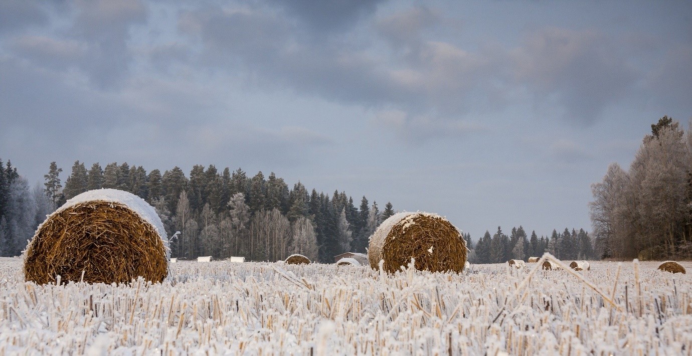 L’agriculture suisse en hiver
