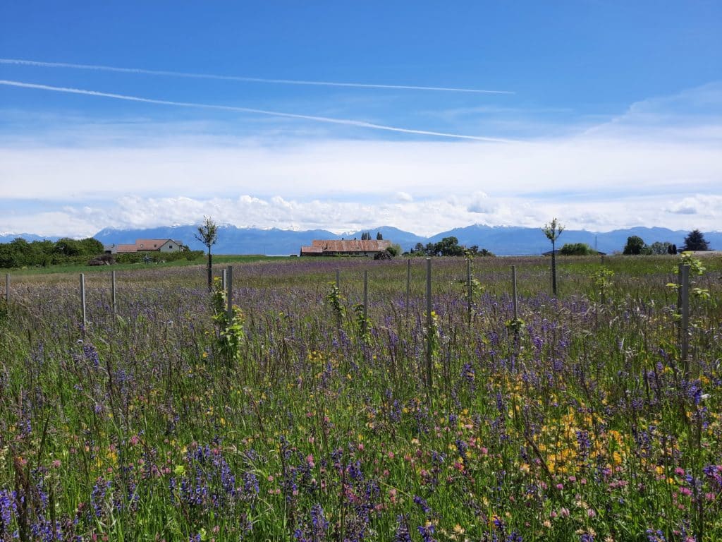 Le monde agricole promeut la biodiversité sur ses terres.