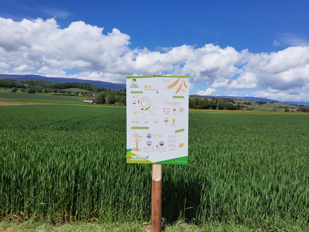 Nouveau loisir: parcours didactique autour de parcelles de cultures et d'élevage, le Circuit paysan