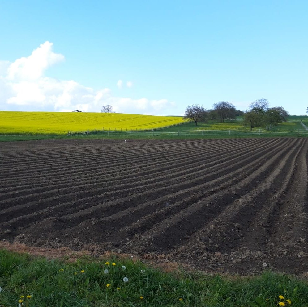 Un parcours didactique sur l'agriculture locale dans le canton de Vaud à Pomy