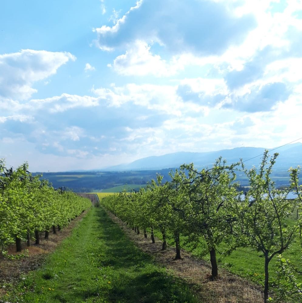 Un parcours didactique sur l'agriculture locale dans le canton de Vaud à Pomy