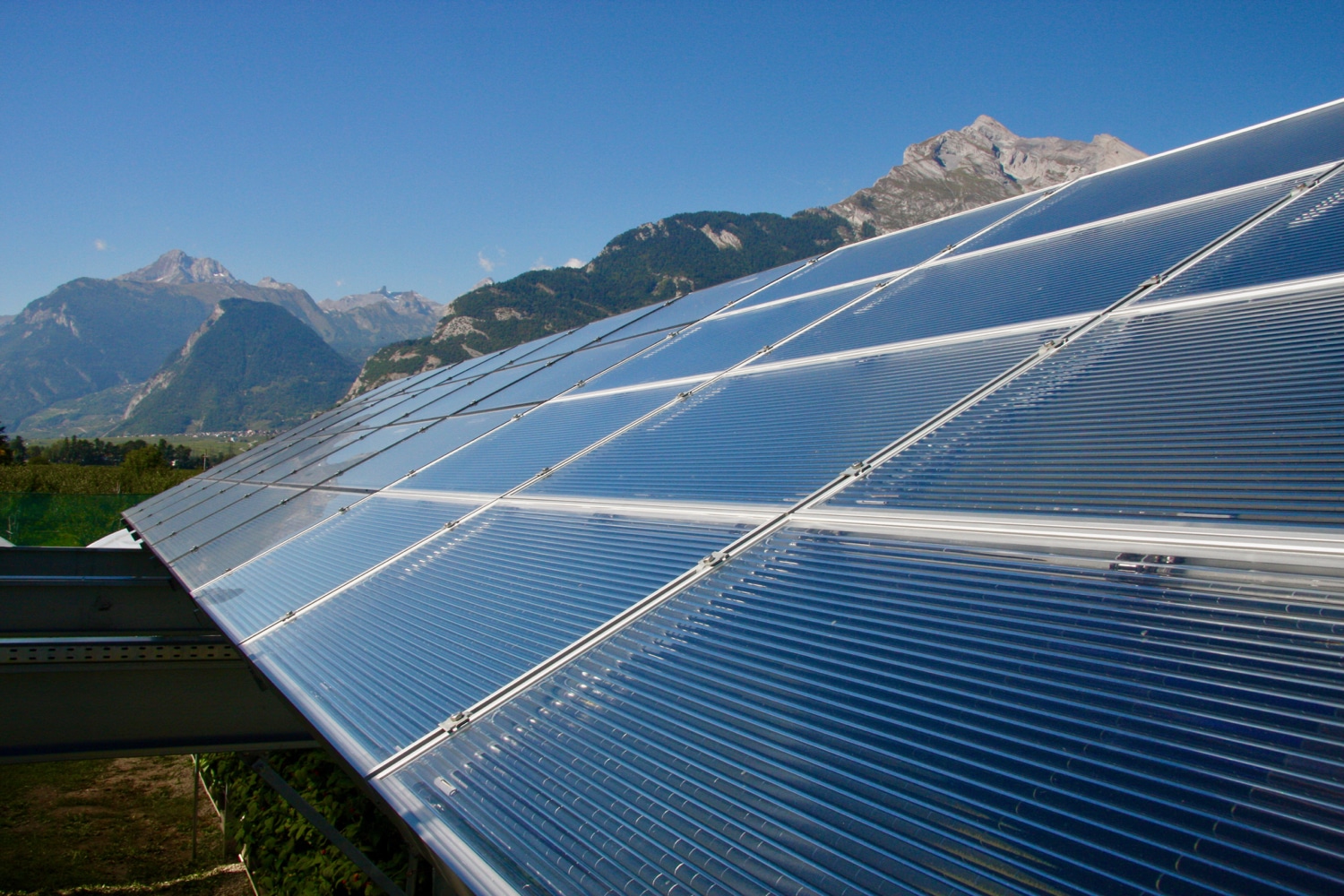 Agrivoltaïsme: bonne idée ou danger pour l’alimentation?