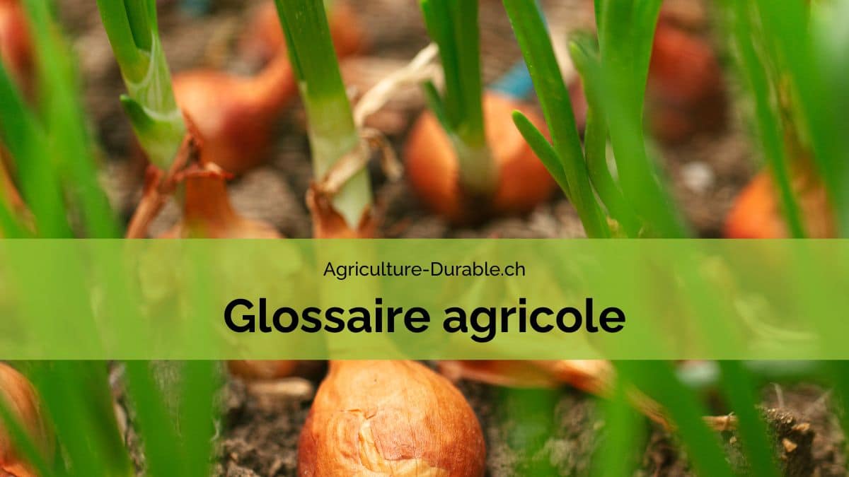 Insecticides-fongicides, Des méthodes naturelles pour protéger les plantes  contre les ravageurs - La Voix Du Paysan